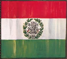 The Repubblica Cispadana Flag. 